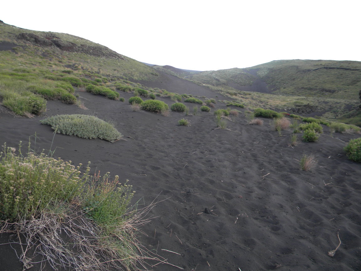 DSCN9489 .JPG